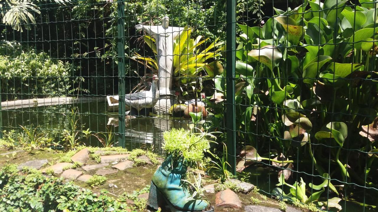 Criatividade Na Serra Apartment เปโตรโปลิส ภายนอก รูปภาพ